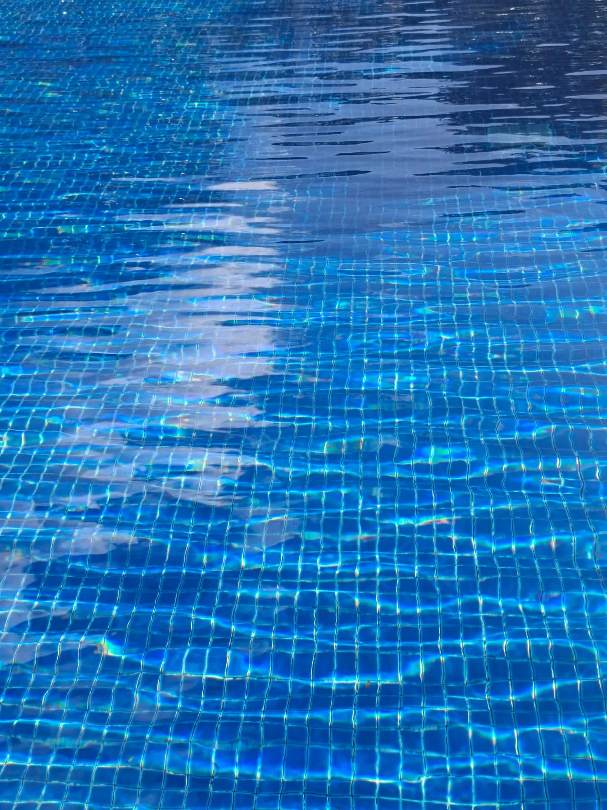 Blog image 2