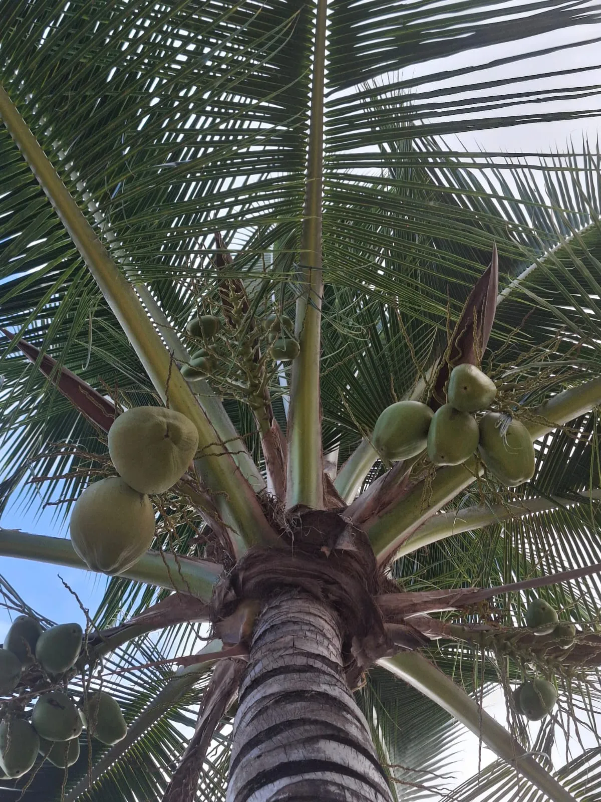 Blog image 2